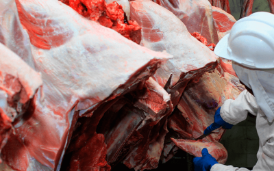 Tratamento de água e efluentes em frigoríficos: por que fazer?