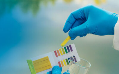 Veja como corrigir o pH da água para consumo humano