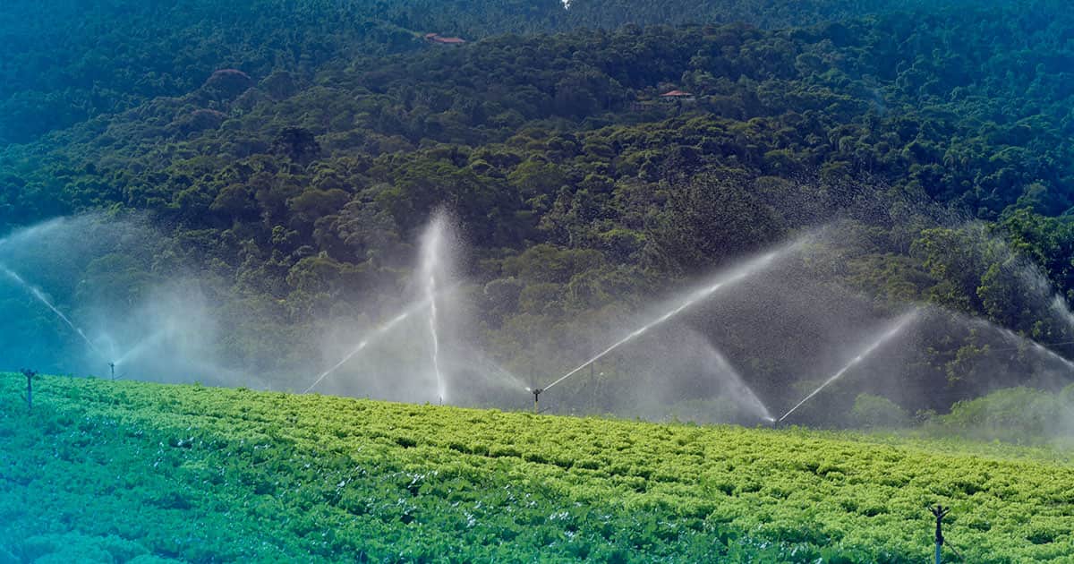 Controle de ORP com bombas dosadoras: precisão e eficiência para o Agronegócio
