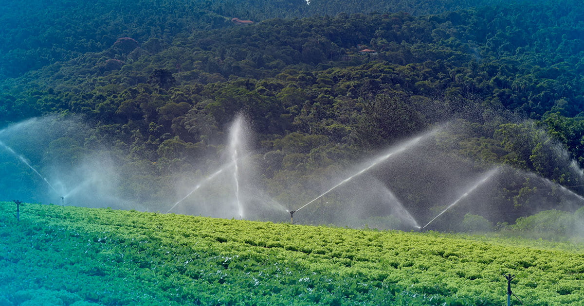 Os 4 diferenciais da Exatta que otimizam o agronegócio 